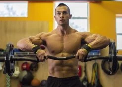 Nayoya Lifting Straps -Fitness Equipment Store 5acdc9ca5d99ae66afdfe1eea0e3b26b 5d0a75806f69e 600x426 1