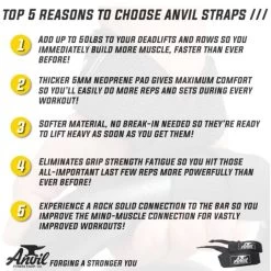 Anvil Fitness Lifting Straps -Fitness Equipment Store 6be93f7a96fed60c477d30ae1de032fd 5d0a757917f76 600x600 1