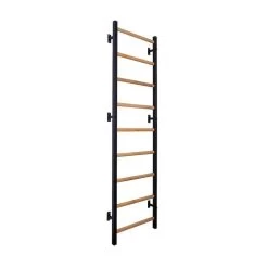 BenchK 700 Wall Bars