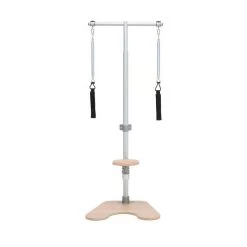 BASI Systems Ped And Pull