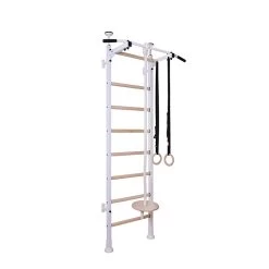 BenchK Series 5 521W+A204 Wall Bars With Gymnastics Accessories