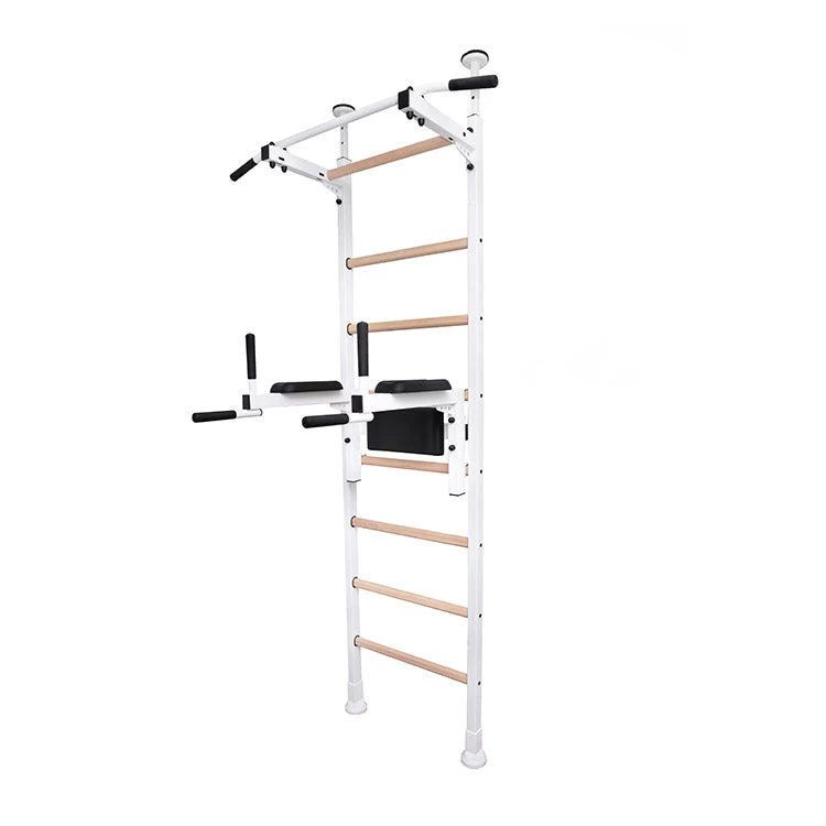 BenchK Series 5 522W Wall Bars With Dip Bar 1 BenchK Series 5 522W Wall Bars With Dip Bar